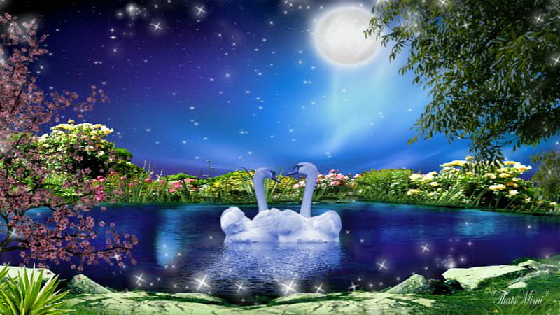 Romantic blue lake, Swans, Moon, Lake, Flowers, Romantic, HD wallpaper