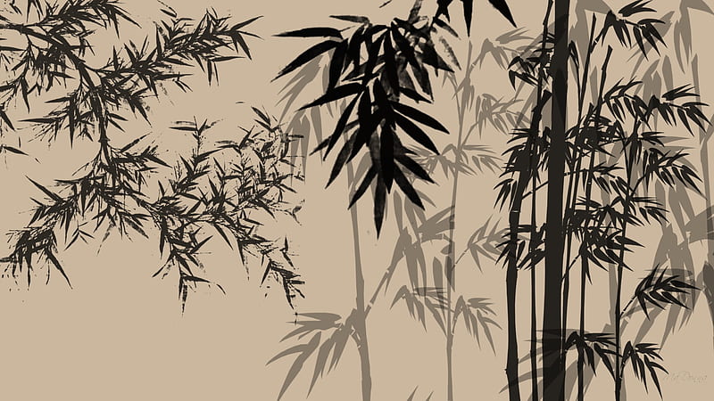 Bamboo Shadows, , japanese, firefox persona, chinese, trees, abstract, bamboo, HD wallpaper