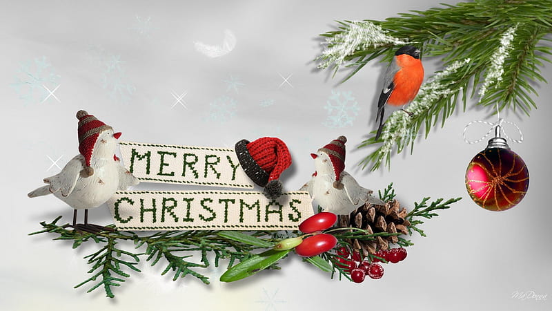 Christmas Birdies, Christmas, Feliz Navidad, birds, finch, stocking hats, winter, pine cones, pine, berries, fir, spruce, HD wallpaper