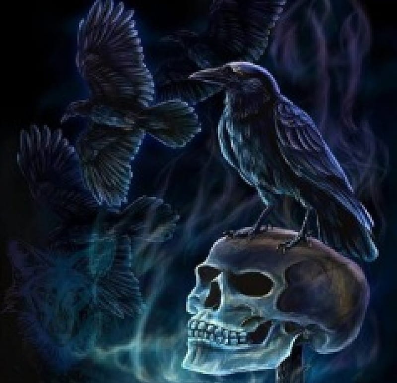 'Dark emperors'....., crows, darkness, dark, birds, eerie, skull, night ...