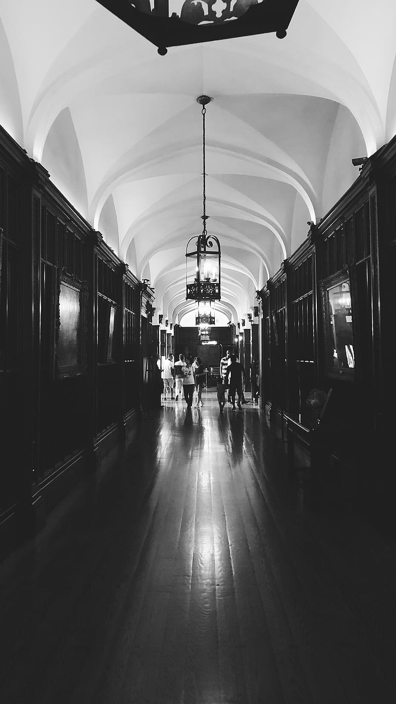 House Danilo Black White Canada Casa Casaloma Ceiling Home Mansion Monotone Hd Mobile Wallpaper Peakpx