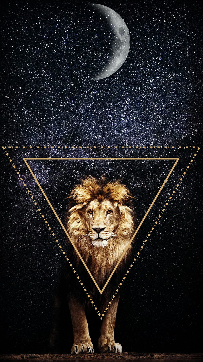 Lion, black, edge, empire, galaxy, king, land, lions, logo, stars, HD phone wallpaper