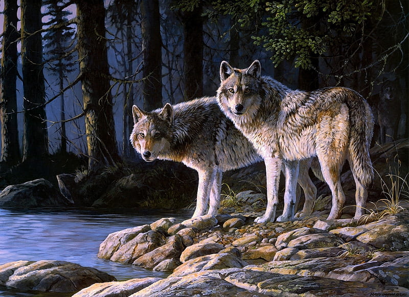 Wolves, forest, art, luminos, animal, persis clayton weir, painting, lup, wolf, pictura, couple, HD wallpaper