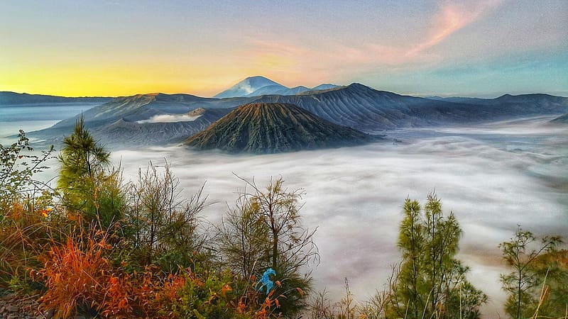 Mount Bromo, Java, Indonesia, mist, morning, landscape, volcano, trees, rocks, sunrise, HD wallpaper