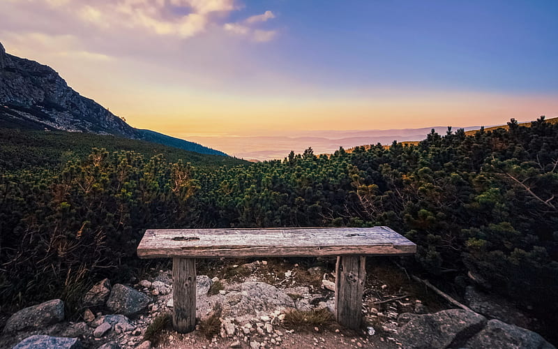 wooden bench in the mountains, forest, mountain landscape, sunset, mountains, HD wallpaper