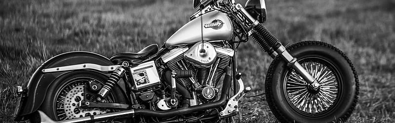 Black and White Harley Davidson Motorcycle, Harley Davidson Dual Monitor, HD wallpaper