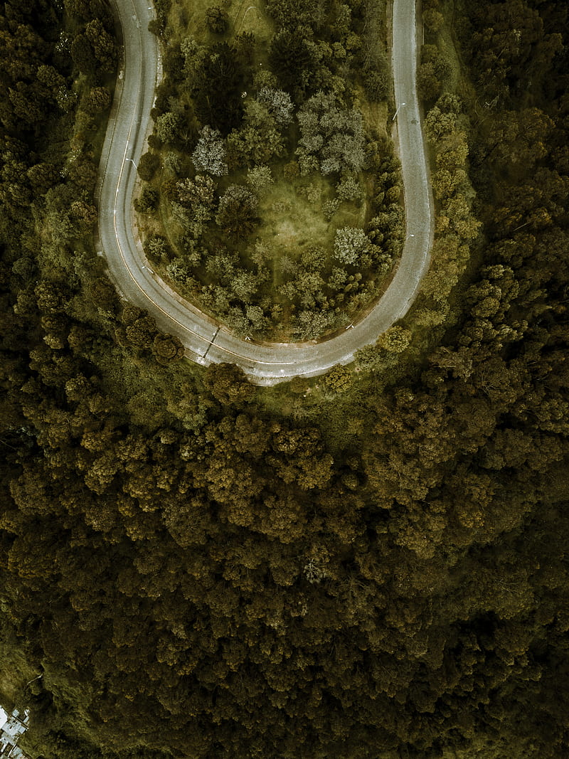 road, forest, aerial view, turn, winding, HD phone wallpaper