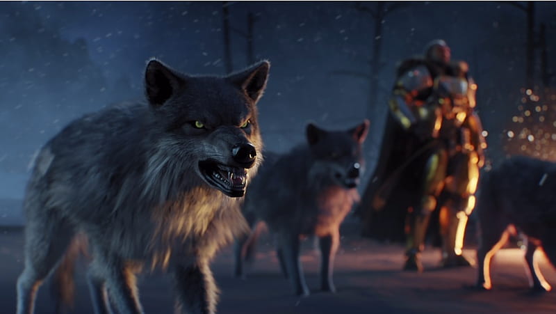 Destiny Rise Of Iron Wolf, HD wallpaper