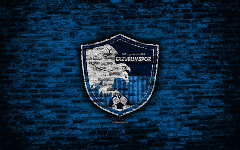 Erzurum FC, logo, Turkey, brick wall, Super Lig, soccer, football club, Erzurum, brick texture, football, FC Erzurum, HD wallpaper