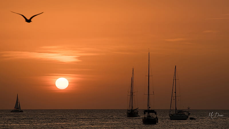 Sailing at Sunset, sun, ocean, Puget Sound, sunset, sky, sea, sunrise, bay, Firefox Persona theme, sailboats, HD wallpaper