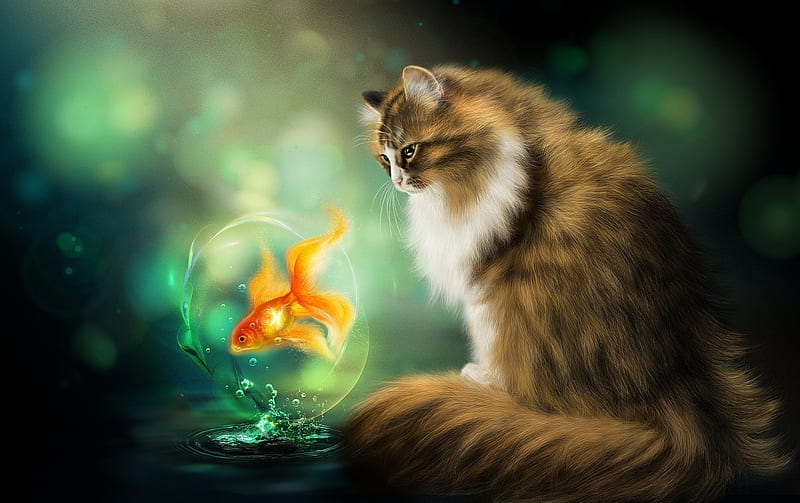 The cat and the golden fish, alenaekaterinburg, art, bubble, luminos, orange, golden fish, cat, animal, fantasy, water, green, pisica, HD wallpaper