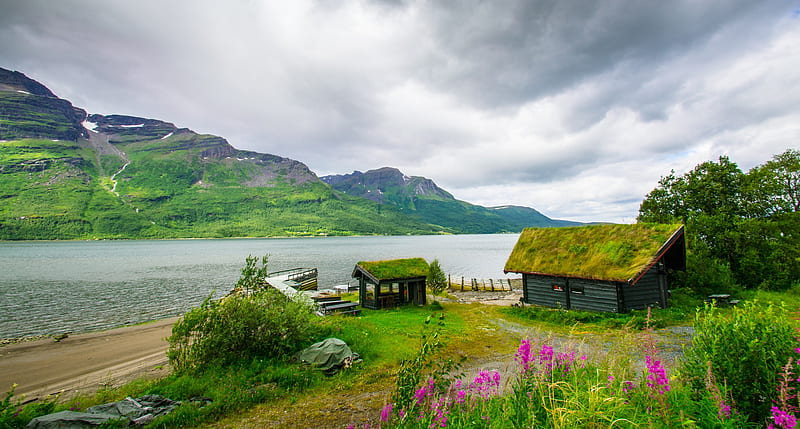 River cabins, grassy, pretty, riverbank, shore, cottages, grass, bonito, clouds, mountain, nice, path, flowers, river, cabins, Norway, lovely, houses, sky, lake, water, summer, landscape, HD wallpaper