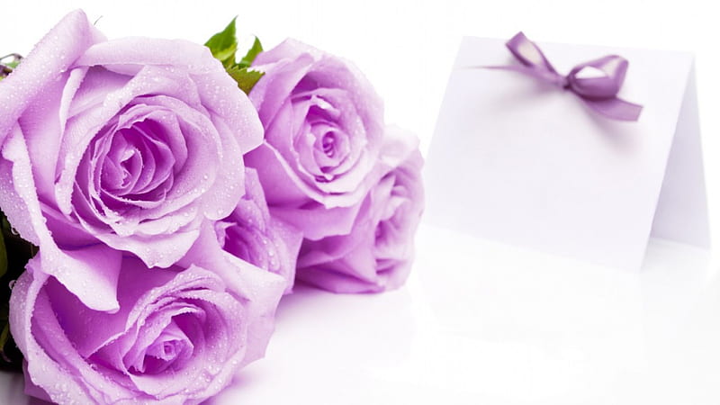 ROSE OF MY HEART, bouquets, lavender, ribbons, roses, bows, notelets, purple, friendship, letters, gifts, HD wallpaper