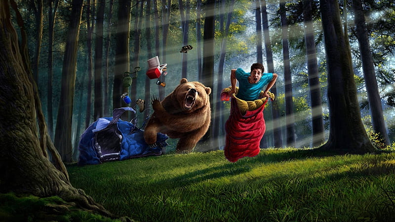 funny run man run, forest, bear, tent, man, HD wallpaper