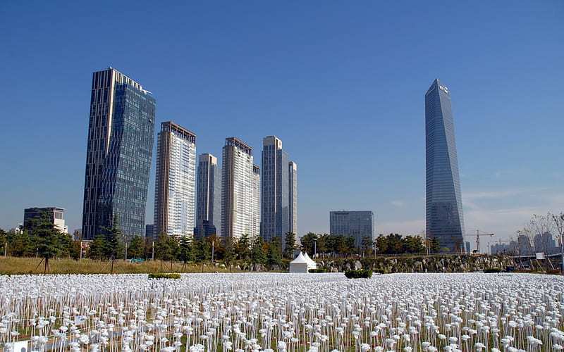 Songdo, Central Park, skyscrapers, South Korea, HD wallpaper
