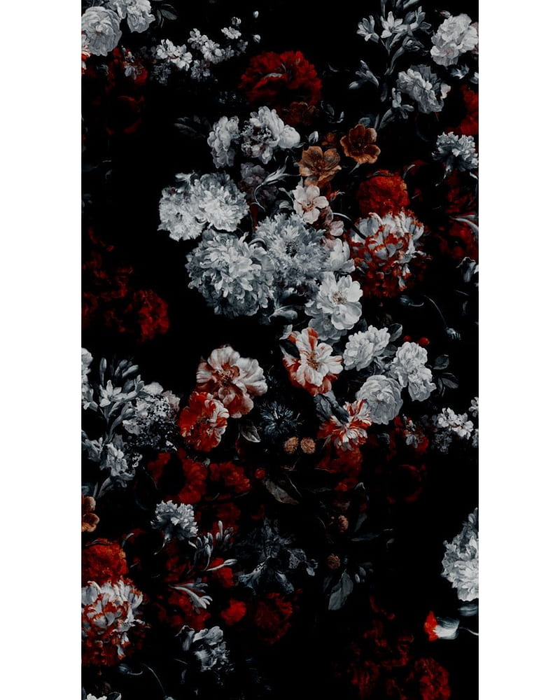 Cicek, white, gul, kirmizi, black, HD phone wallpaper