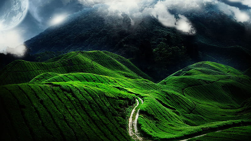 Grass Covered Mountain Road, HD wallpaper