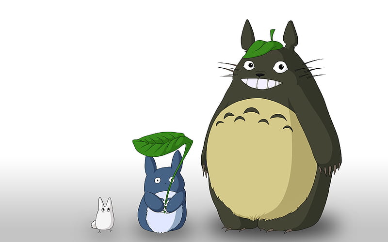My Neighbor Totoro, cute, racoon, anime, HD wallpaper