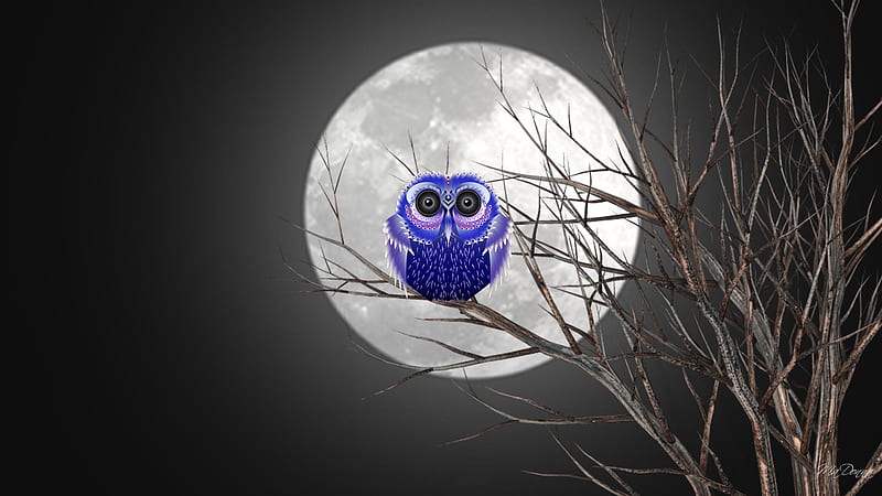 Purple Owl Moon, owl, moon, purple, full moon, trees, night, Firefox Persona theme, winter, HD wallpaper