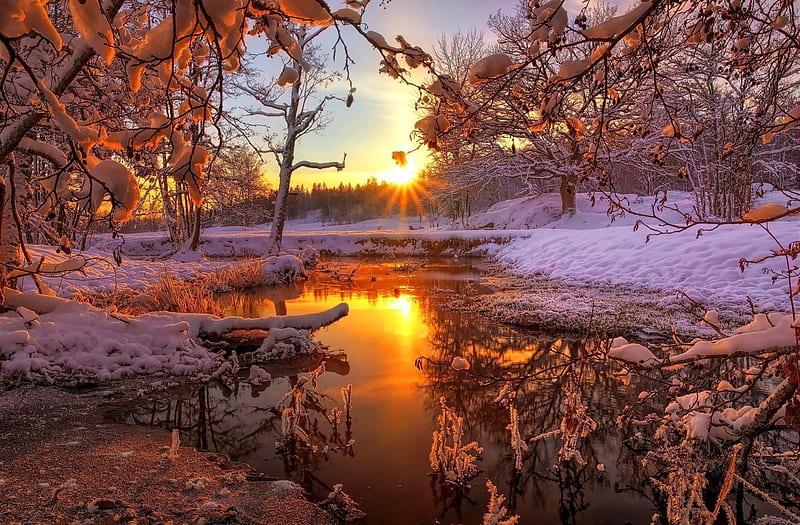Winter sunrise, glow, sun, dazzling, bonito, trees, sky, lake, winter, rays, snow, nature, river, sunrise, morning, frost, HD wallpaper