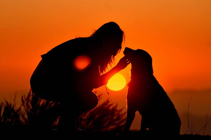 Friends In Sunset, sun, friendship, sunset, silhouette, woman, dog, HD wallpaper