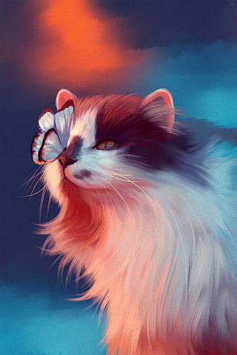 fluffy cat wallpaper widescreen
