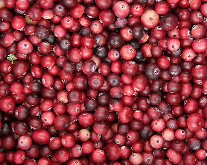 cranberries, production, red, mass, food, HD wallpaper