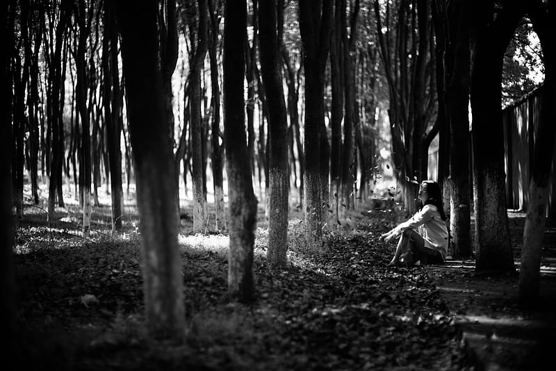 grayscale of man sitting on ground surrounded by trees, HD wallpaper