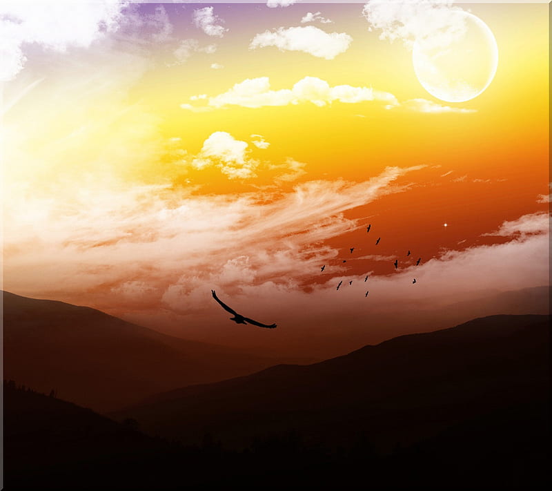 Sunrise 3d, 2012, animated, best, bird, clouds, cool nature, orange, top,  HD wallpaper | Peakpx