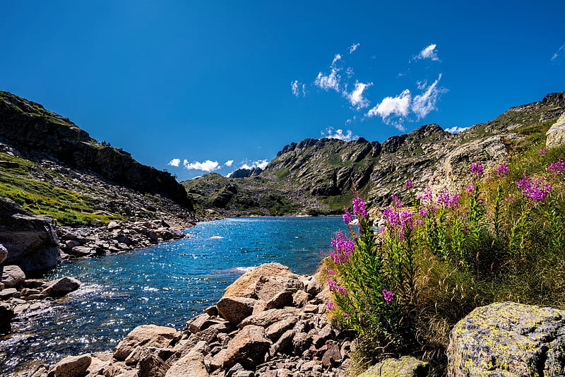 Mountain lake, lake, mountain, Pyrenees, stones, wildflowers, bonito, Andorra, sky, HD wallpaper