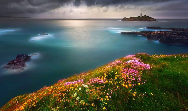 Godrevy Point, England, rock, grass, flowers, bonito, sunrise, island, lighthouse, sea, HD wallpaper