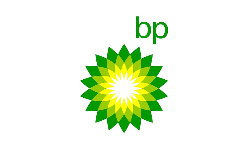 Beautiful British Petroleum, wonderful, yellow, sea, oil pollution, green, hot, flowers, humour skz, america, my bad scores, amazing, gas oil, british petroleum, life, ocean, bp, politique skz, cool, usa, flower, awesome, funny, nature, white, HD wallpaper