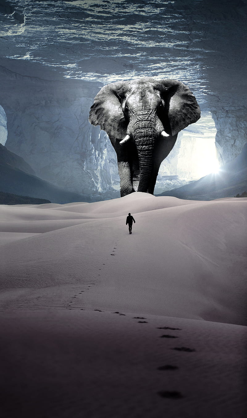 ELEPHANT, SHERIF, cave, desert, edit, light, rock, underwater, HD phone  wallpaper | Peakpx
