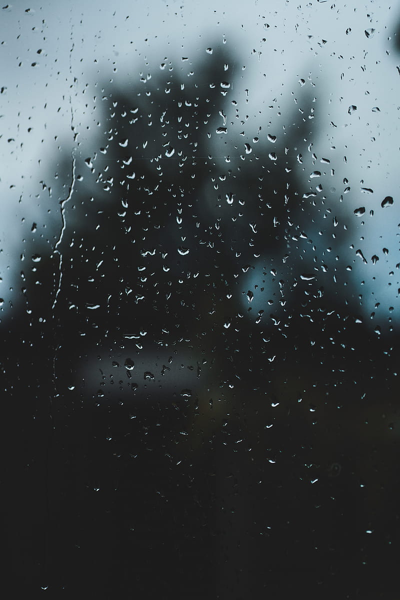 drops, rain, glass, macro, HD phone wallpaper