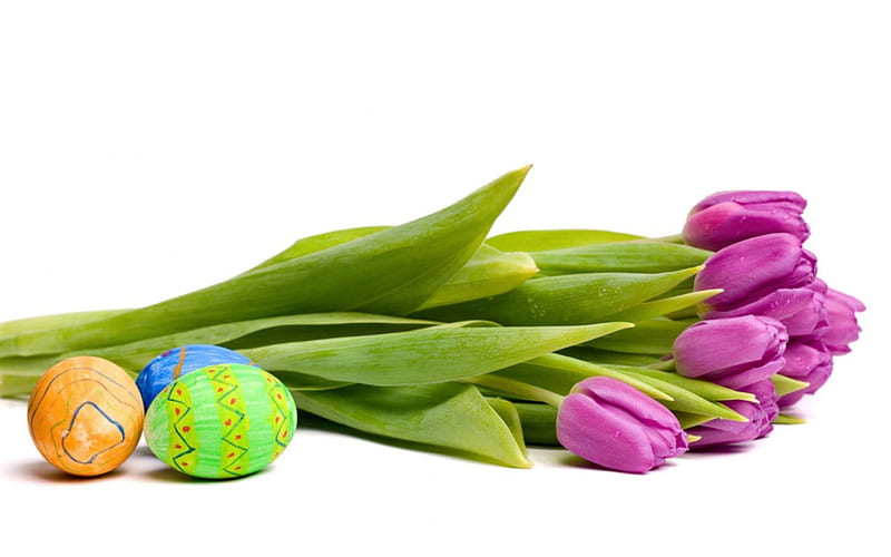 Springtime Greetings, eggs, blossoms, colors, tulips, easter, HD wallpaper