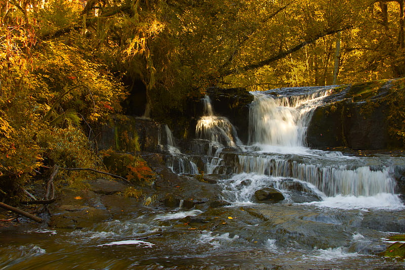 Waterfall Stones Trees Branches Autumn Hd Wallpaper Peakpx