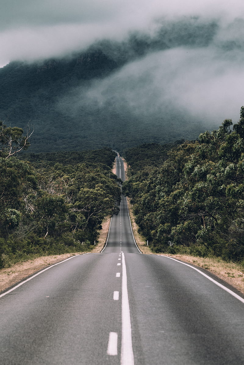 Empty road between trees with cloudy sky, HD phone wallpaper | Peakpx