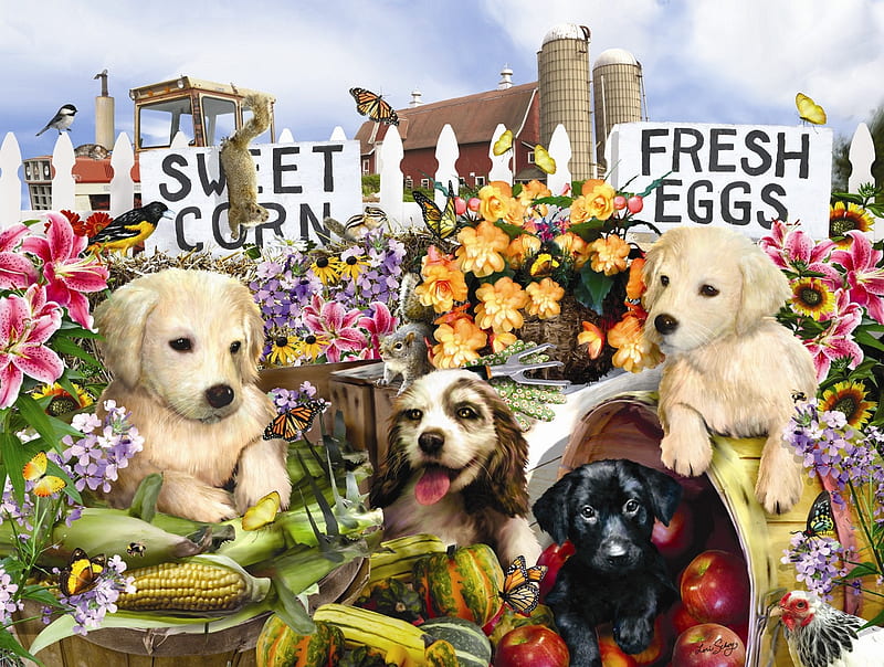 Puppies on the farm, art, lori schory, caine, animal, farm, painting, flower, pictura, puppy, dog, HD wallpaper