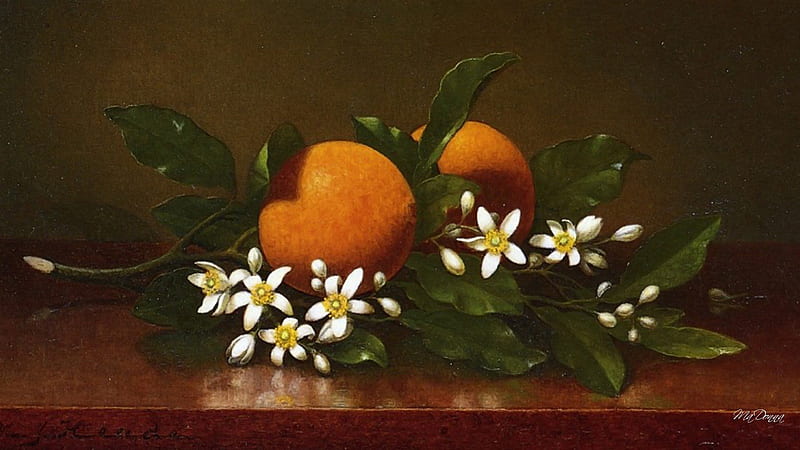 Fragrant Orange Blossoms, fruit, still life, leaves, fragrant, flowers, blossoms, oranges, HD wallpaper