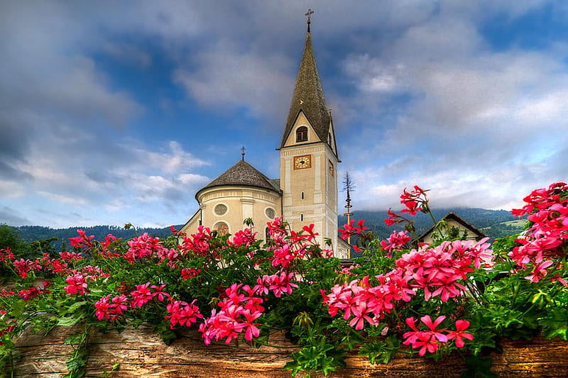 Hilltop Church flowers, steeple, church, spire, HD wallpaper