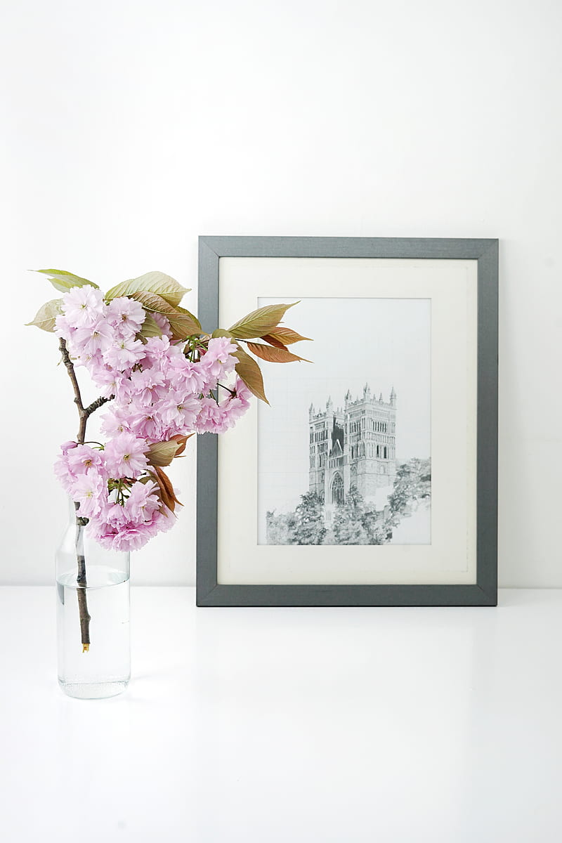 rectangular gray wooden frame beside pink flower, HD phone wallpaper