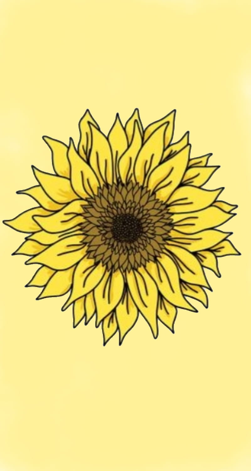 Aesthetic sunflower cute pastel yellow HD phone wallpaper  Peakpx