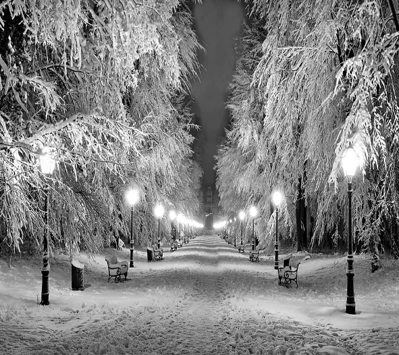 Winter Park, park, winter, HD wallpaper