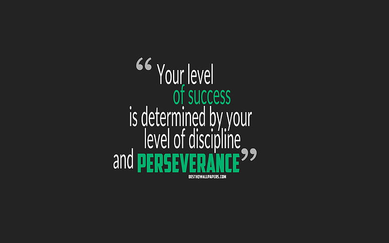 Your level of success is determined by your level of discipline and perseverance, quotes about success, motivation, gray background, popular quotes, HD wallpaper