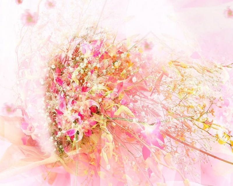 Soft pink, flowers, soft, small, pink, HD wallpaper