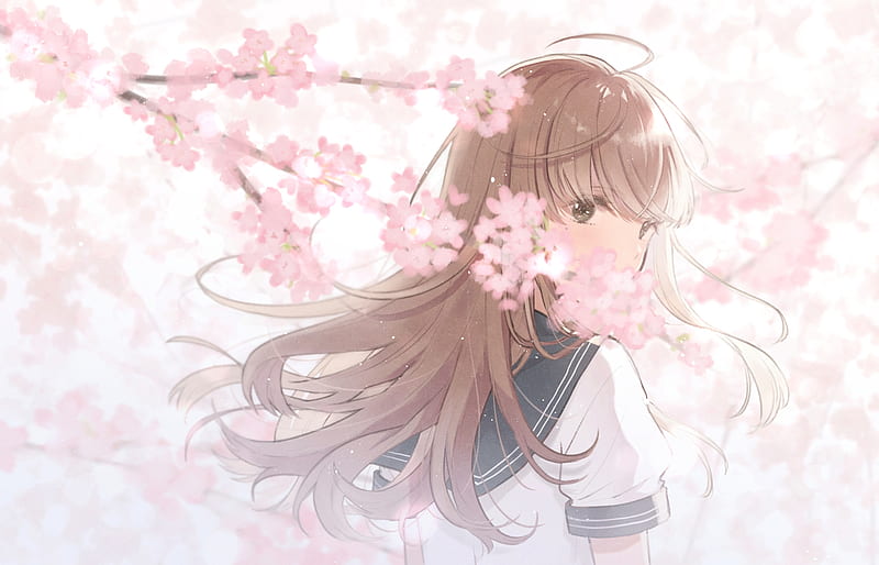 anime school girl, back view, brown hair, sakura blossom, Anime, HD wallpaper