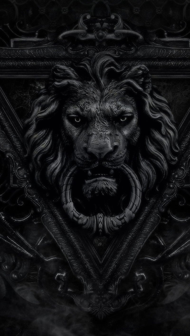 Lion, dark, door, HD phone wallpaper