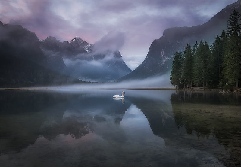 A Single Moment, graph, cloud, water, mountains, reflection, swan, lake, mist, HD wallpaper