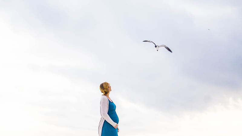 woman in blue and white dress standing and looking at flying bird, HD wallpaper