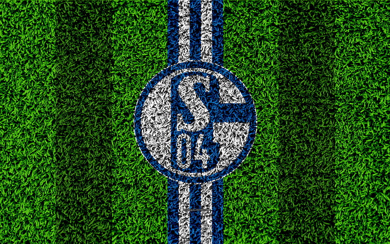 FC Schalke 04 German football club, football lawn, logo, blue white lines, emblem, grass texture, Bundesliga, Gelsenkirchen, Germany, football, HD wallpaper
